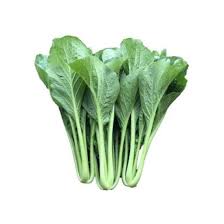 Sawi /kg - min beli 250g /Rp. 500